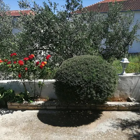Rudic Vinišće