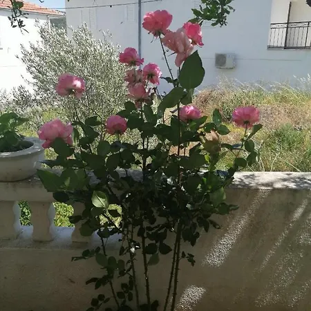 Rudic Vinišće